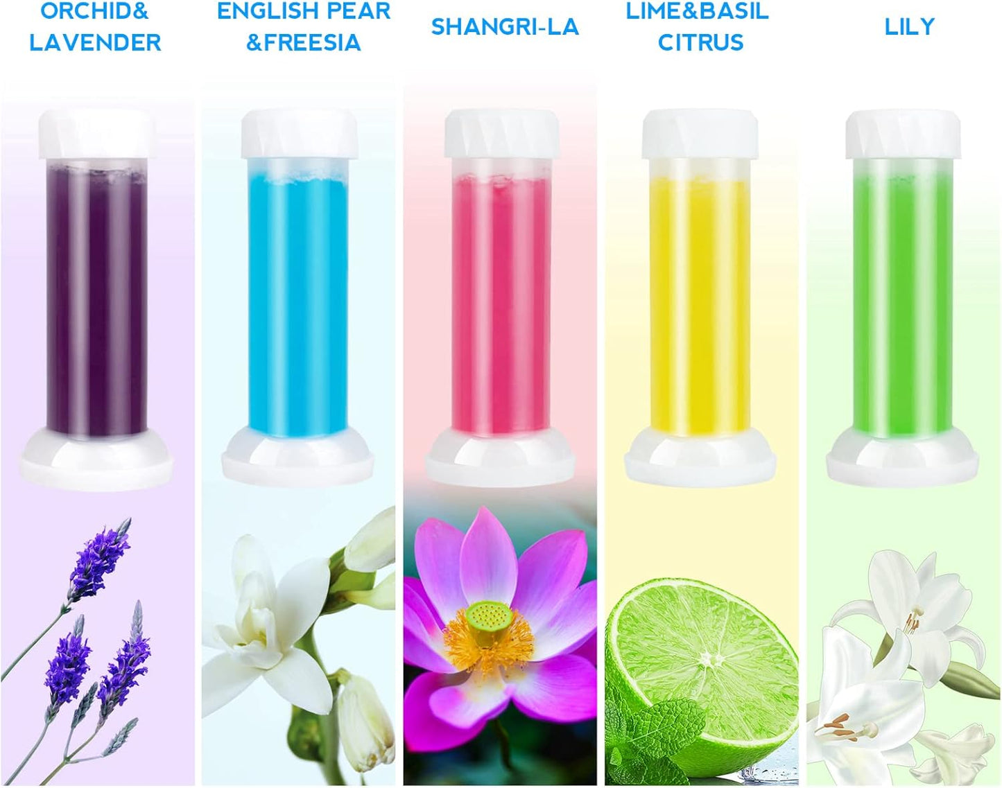Toilet Cleaning Gel Stamp
